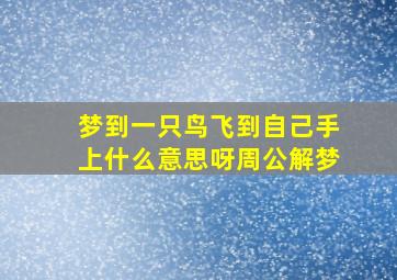 梦到一只鸟飞到自己手上什么意思呀周公解梦