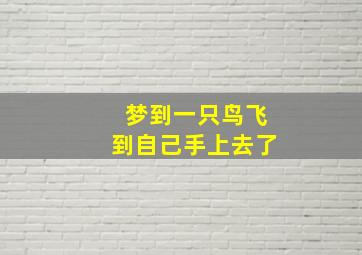 梦到一只鸟飞到自己手上去了