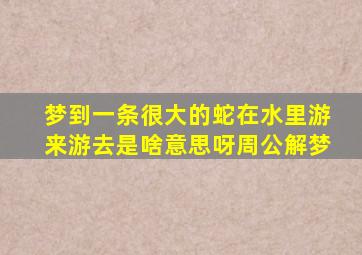 梦到一条很大的蛇在水里游来游去是啥意思呀周公解梦