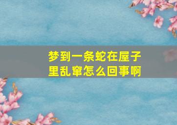 梦到一条蛇在屋子里乱窜怎么回事啊