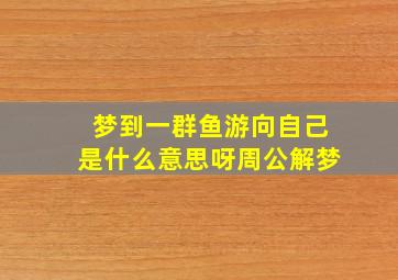 梦到一群鱼游向自己是什么意思呀周公解梦