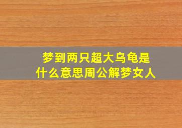 梦到两只超大乌龟是什么意思周公解梦女人