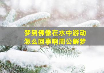 梦到佛像在水中游动怎么回事啊周公解梦