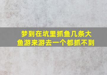 梦到在坑里抓鱼几条大鱼游来游去一个都抓不到