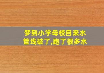 梦到小学母校自来水管线破了,跑了很多水