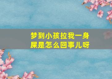 梦到小孩拉我一身屎是怎么回事儿呀