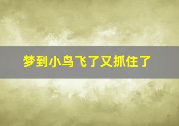 梦到小鸟飞了又抓住了