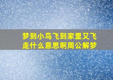 梦到小鸟飞到家里又飞走什么意思啊周公解梦