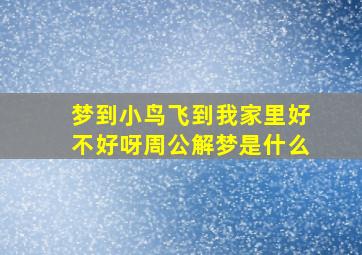 梦到小鸟飞到我家里好不好呀周公解梦是什么