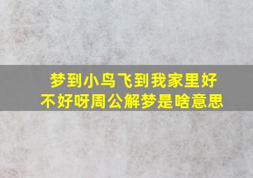 梦到小鸟飞到我家里好不好呀周公解梦是啥意思