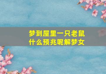 梦到屋里一只老鼠什么预兆呢解梦女