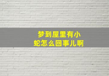 梦到屋里有小蛇怎么回事儿啊