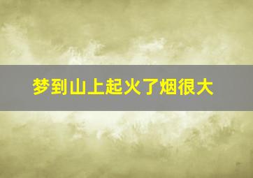 梦到山上起火了烟很大