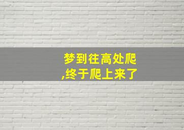 梦到往高处爬,终于爬上来了