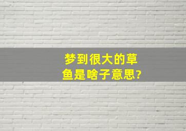 梦到很大的草鱼是啥子意思?