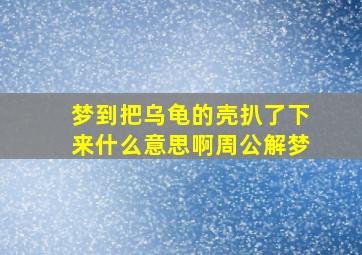 梦到把乌龟的壳扒了下来什么意思啊周公解梦