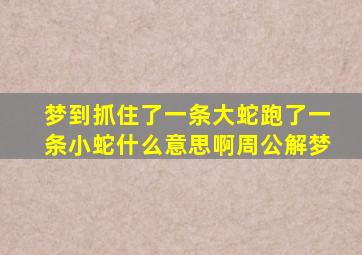 梦到抓住了一条大蛇跑了一条小蛇什么意思啊周公解梦