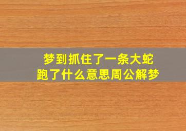 梦到抓住了一条大蛇跑了什么意思周公解梦