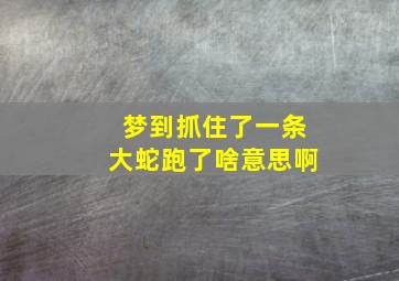 梦到抓住了一条大蛇跑了啥意思啊