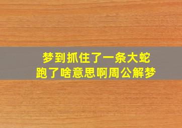 梦到抓住了一条大蛇跑了啥意思啊周公解梦