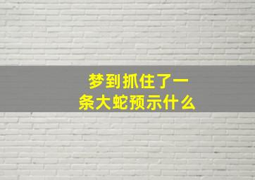 梦到抓住了一条大蛇预示什么