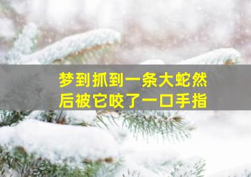 梦到抓到一条大蛇然后被它咬了一口手指