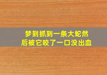 梦到抓到一条大蛇然后被它咬了一口没出血