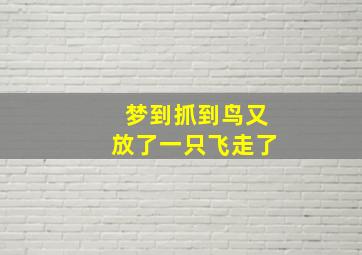 梦到抓到鸟又放了一只飞走了