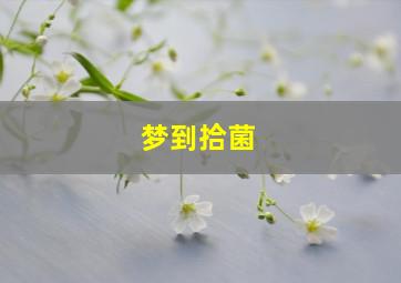 梦到拾菌