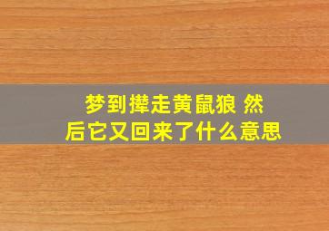 梦到撵走黄鼠狼 然后它又回来了什么意思