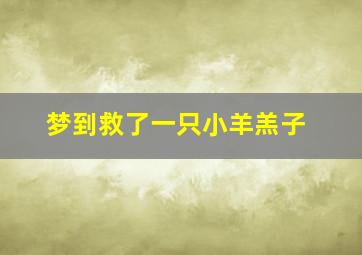 梦到救了一只小羊羔子