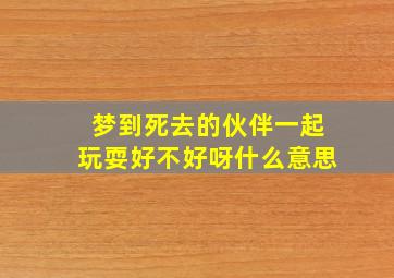 梦到死去的伙伴一起玩耍好不好呀什么意思