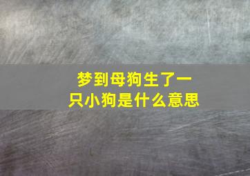 梦到母狗生了一只小狗是什么意思