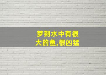 梦到水中有很大的鱼,很凶猛