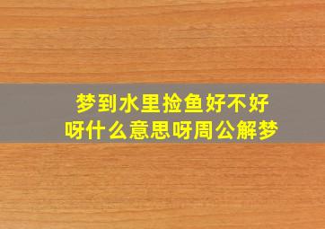 梦到水里捡鱼好不好呀什么意思呀周公解梦