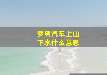 梦到汽车上山下水什么意思