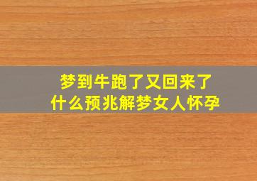 梦到牛跑了又回来了什么预兆解梦女人怀孕