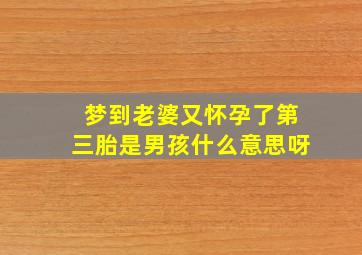 梦到老婆又怀孕了第三胎是男孩什么意思呀