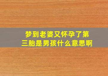 梦到老婆又怀孕了第三胎是男孩什么意思啊