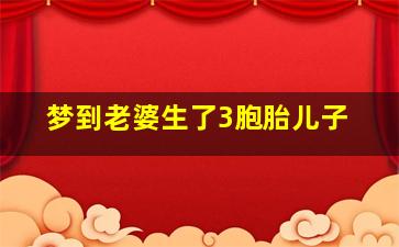 梦到老婆生了3胞胎儿子