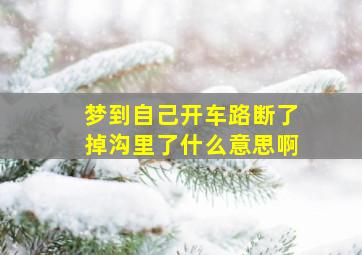 梦到自己开车路断了掉沟里了什么意思啊