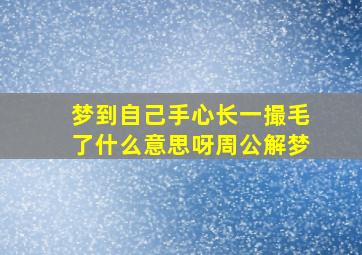 梦到自己手心长一撮毛了什么意思呀周公解梦