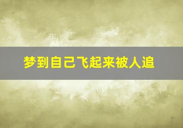 梦到自己飞起来被人追