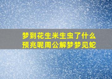 梦到花生米生虫了什么预兆呢周公解梦梦见蛇