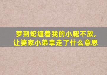 梦到蛇缠着我的小腿不放,让婆家小弟拿走了什么意思