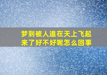 梦到被人追在天上飞起来了好不好呢怎么回事