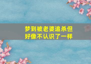 梦到被老婆追杀但好像不认识了一样