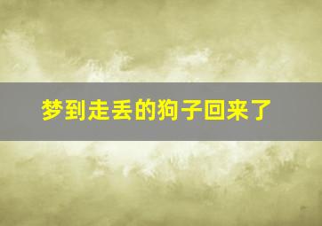 梦到走丢的狗子回来了