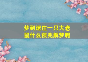 梦到逮住一只大老鼠什么预兆解梦呢