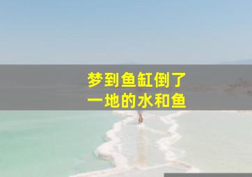 梦到鱼缸倒了一地的水和鱼